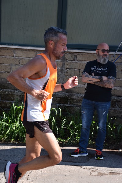 Maratonina di Villa Adriana [TOP] (28/05/2023) 0117