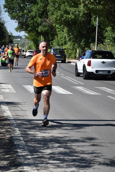 Maratonina di San Luigi (11/06/2023) 0023