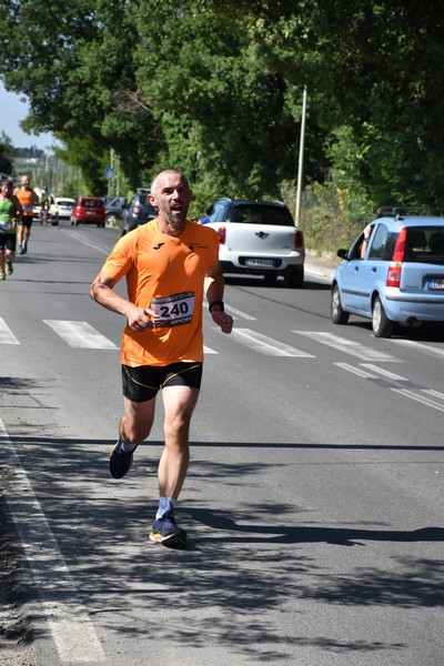 Maratonina di San Luigi (11/06/2023) 0024