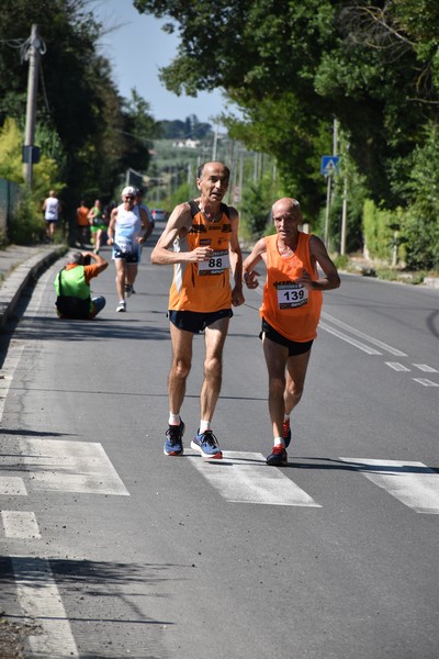 Maratonina di San Luigi (11/06/2023) 0142