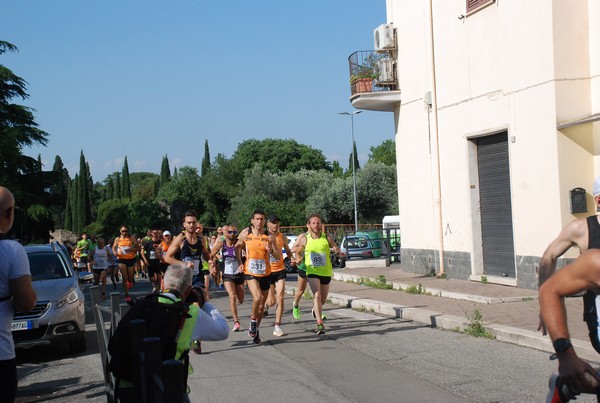 Maratonina di Villa Adriana [TOP] (28/05/2023) 0002