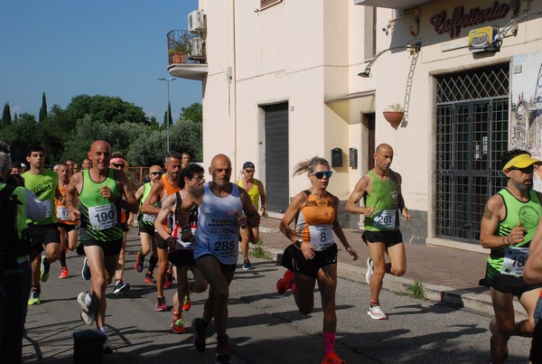 Maratonina di Villa Adriana [TOP] (28/05/2023) 0011
