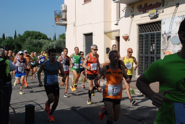 Maratonina di Villa Adriana [TOP] (28/05/2023) 0013
