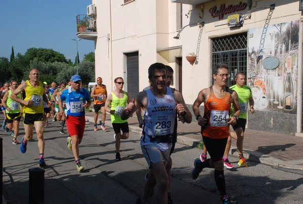 Maratonina di Villa Adriana [TOP] (28/05/2023) 0019