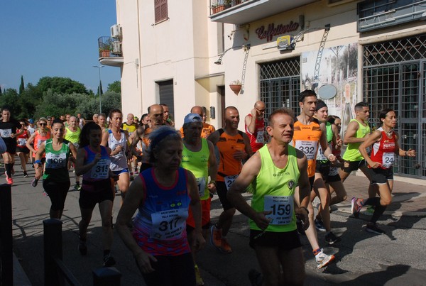 Maratonina di Villa Adriana [TOP] (28/05/2023) 0030