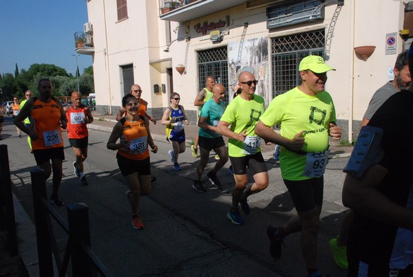 Maratonina di Villa Adriana [TOP] (28/05/2023) 0069