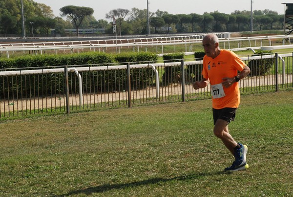 Cardio Race - 15K [TOP] (01/10/2023) 0176