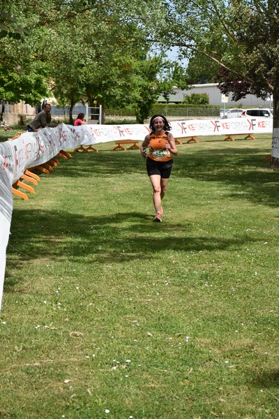 Crete Senesi Ultra Marathon 50K (06/05/2023) 0085