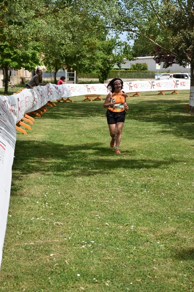 Crete Senesi Ultra Marathon 50K (06/05/2023) 0086