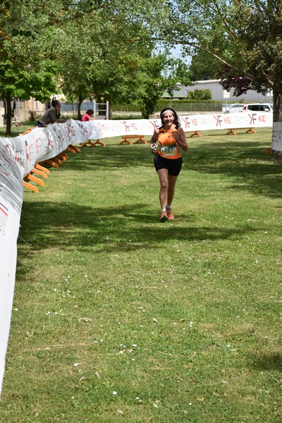 Crete Senesi Ultra Marathon 50K (06/05/2023) 0087