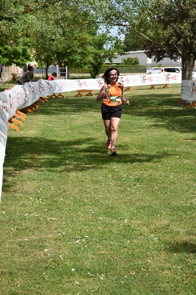 Crete Senesi Ultra Marathon 50K (06/05/2023) 0089