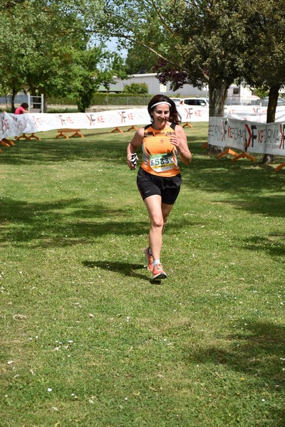 Crete Senesi Ultra Marathon 50K (06/05/2023) 0090