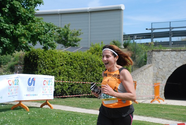 Crete Senesi Ultra Marathon 50K (06/05/2023) 0174