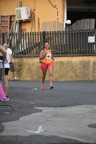 Corrimacere [CE] (29/07/2023) 0295