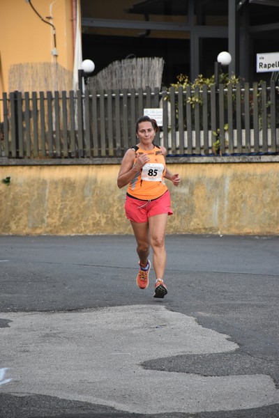 Corrimacere [CE] (29/07/2023) 0298