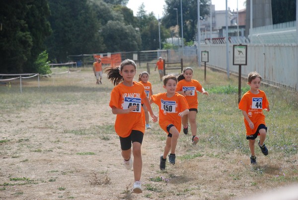 Trofeo Arancini Podistica Solidarietà (17/09/2023) 0085