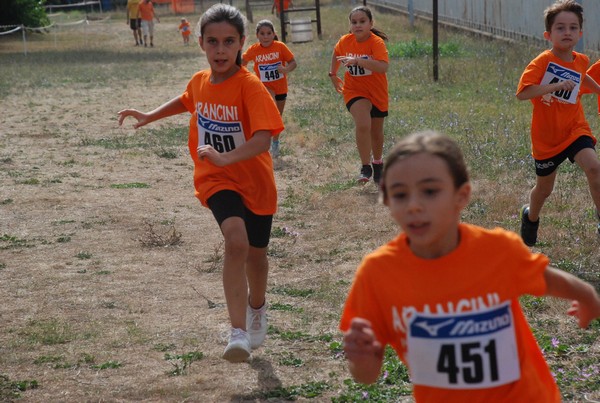 Trofeo Arancini Podistica Solidarietà (17/09/2023) 0086