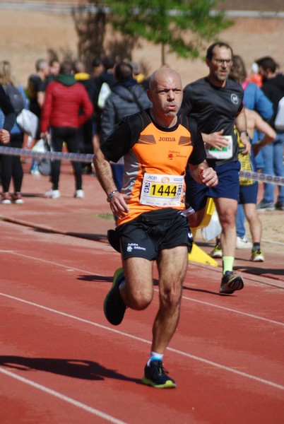 Appia Run (16/04/2023) 0710