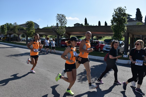 Maratonina di San Luigi (11/06/2023) 0029