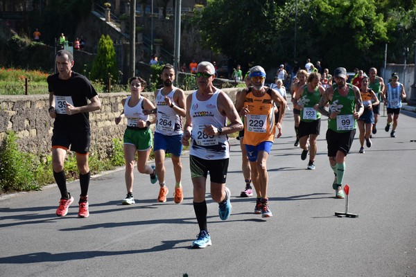 Maratonina di Villa Adriana [TOP] (28/05/2023) 0044
