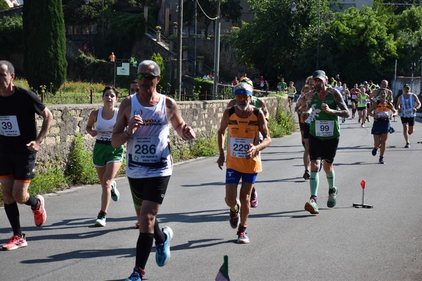 Maratonina di Villa Adriana [TOP] (28/05/2023) 0046