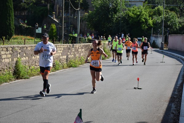 Maratonina di Villa Adriana [TOP] (28/05/2023) 0065