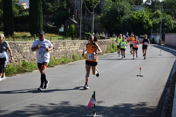 Maratonina di Villa Adriana [TOP] (28/05/2023) 0068