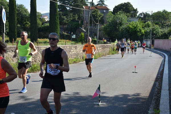 Maratonina di Villa Adriana [TOP] (28/05/2023) 0073