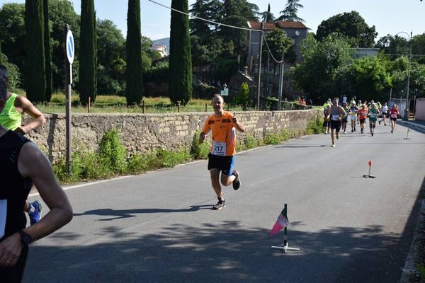 Maratonina di Villa Adriana [TOP] (28/05/2023) 0076