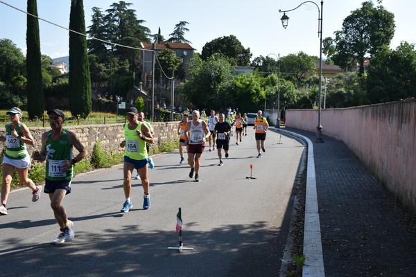Maratonina di Villa Adriana [TOP] (28/05/2023) 0100