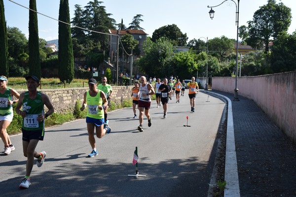 Maratonina di Villa Adriana [TOP] (28/05/2023) 0101