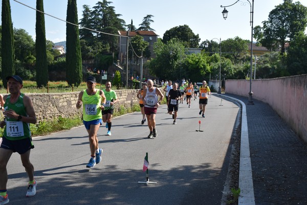 Maratonina di Villa Adriana [TOP] (28/05/2023) 0102