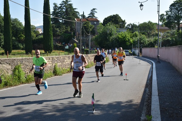 Maratonina di Villa Adriana [TOP] (28/05/2023) 0104