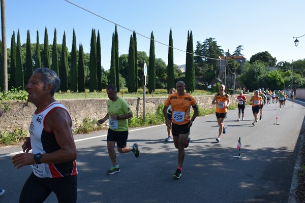 Maratonina di Villa Adriana [TOP] (28/05/2023) 0151
