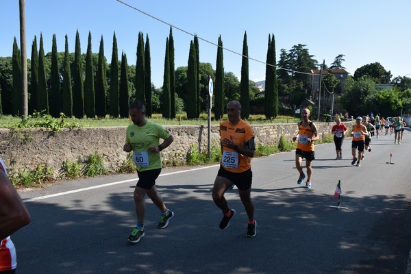 Maratonina di Villa Adriana [TOP] (28/05/2023) 0152