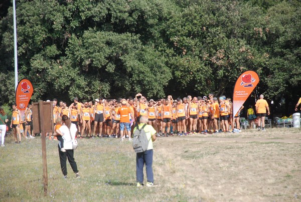 Trofeo Podistica Solidarietà (17/09/2023) 0001