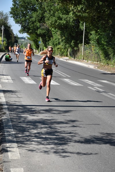 Maratonina di San Luigi (11/06/2023) 0102