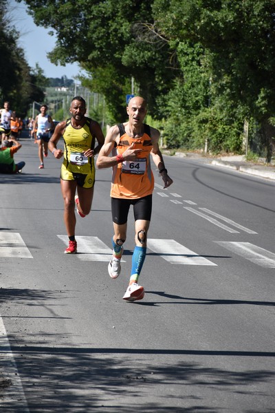 Maratonina di San Luigi (11/06/2023) 0121