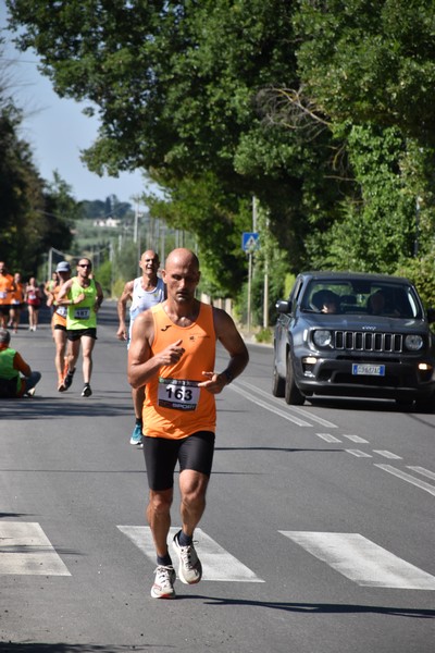 Maratonina di San Luigi (11/06/2023) 0130