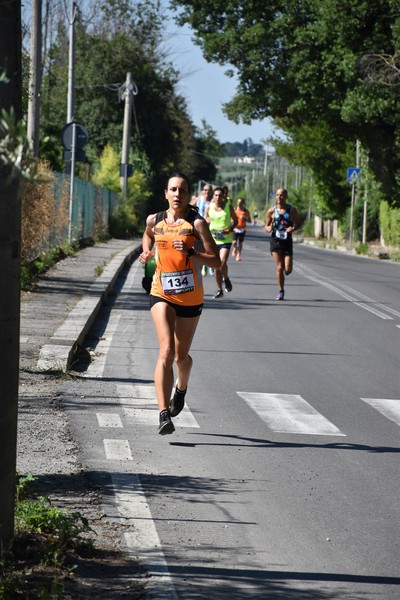 Maratonina di San Luigi (11/06/2023) 0180