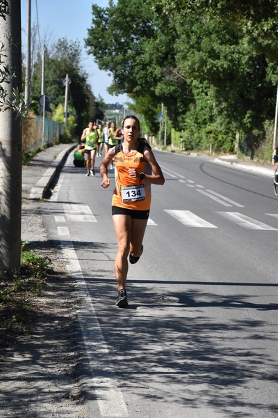 Maratonina di San Luigi (11/06/2023) 0185