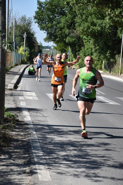 Maratonina di San Luigi (11/06/2023) 0209