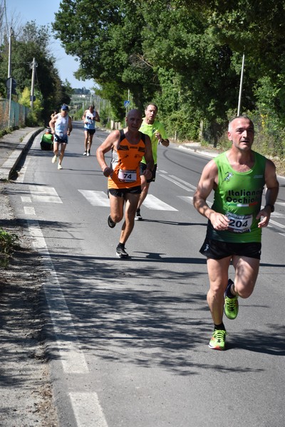 Maratonina di San Luigi (11/06/2023) 0211