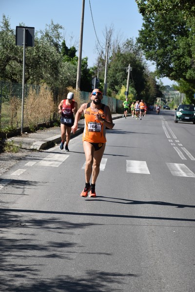 Maratonina di San Luigi (11/06/2023) 0239
