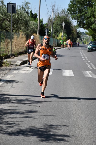 Maratonina di San Luigi (11/06/2023) 0240