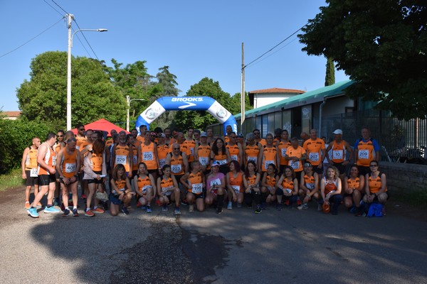 Maratonina di Villa Adriana [TOP] (28/05/2023) 0001