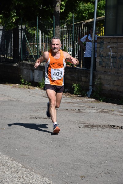Maratonina di Villa Adriana [TOP] (28/05/2023) 0004