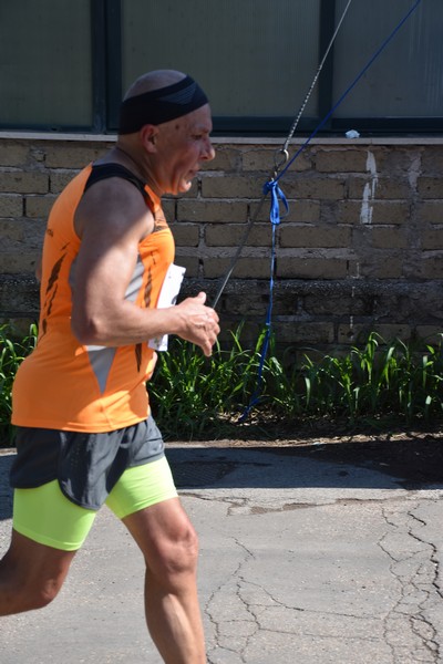 Maratonina di Villa Adriana [TOP] (28/05/2023) 0016