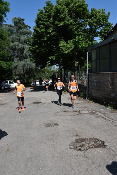 Maratonina di Villa Adriana [TOP] (28/05/2023) 0100