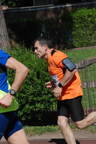 Appia Run [GOLD] (21/04/2024) 0087